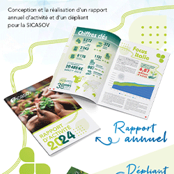 vignette News